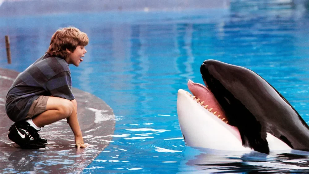 Warner Bros Taps AGBO for a New Free Willy Reimagining