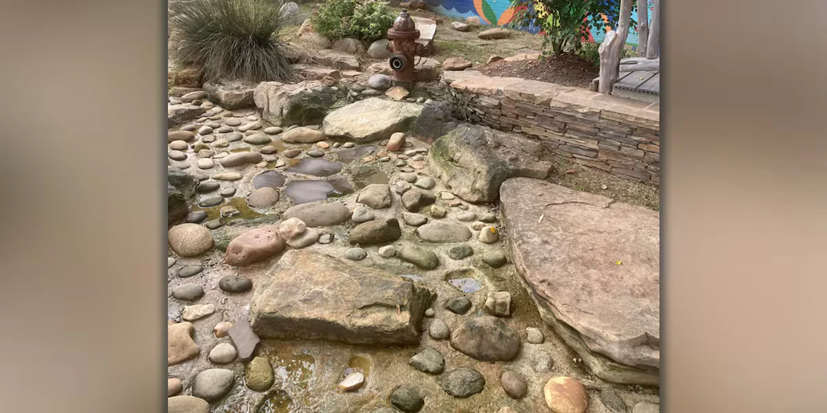 Durham Water Feature Pinpointed as Likely Source in NC Brain-Eating Amoeba Death