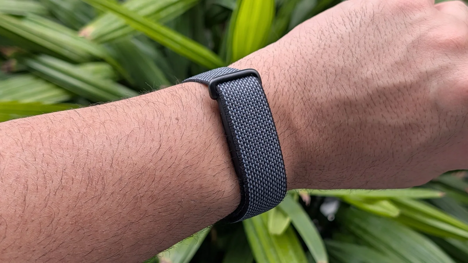 A Week-Long Sleep Duel: Fitbit Air Outpacing Whoop MG for Everyday Sleep Insights