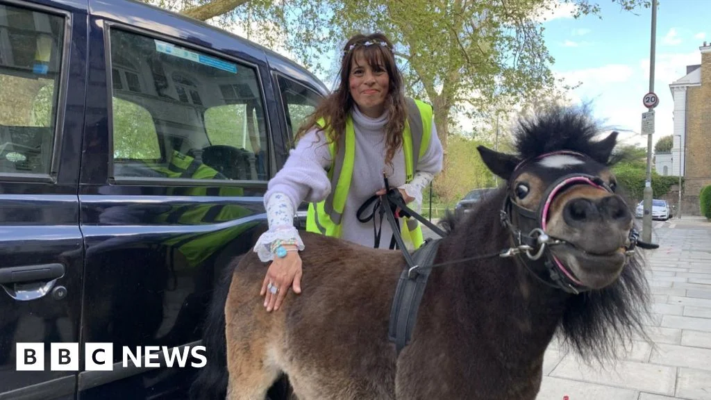 London's taxi-riding therapy horse brings calm and community