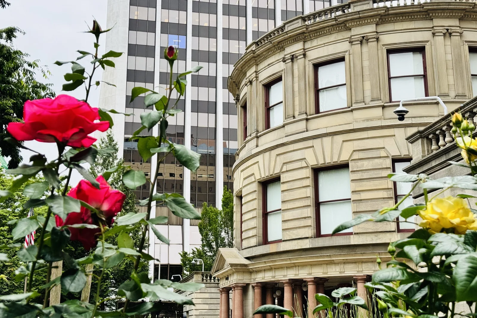Portland Budget Showdown: PCEF, Shelters, and Trees at the Center
