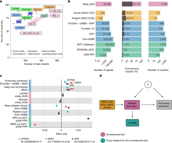 Massive GWAS maps 249 circulating metabolites to thousands of genetic signals in 619,372 individuals