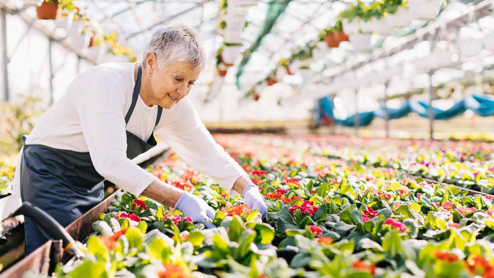 Expectations vs. Reality: Most Plan to Work in Retirement, But Few Do