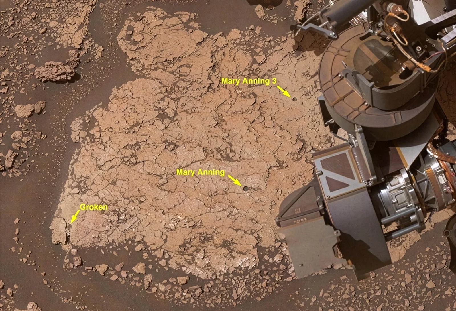 New Martian Organics Deepen the Case for Ancient Life on Mars