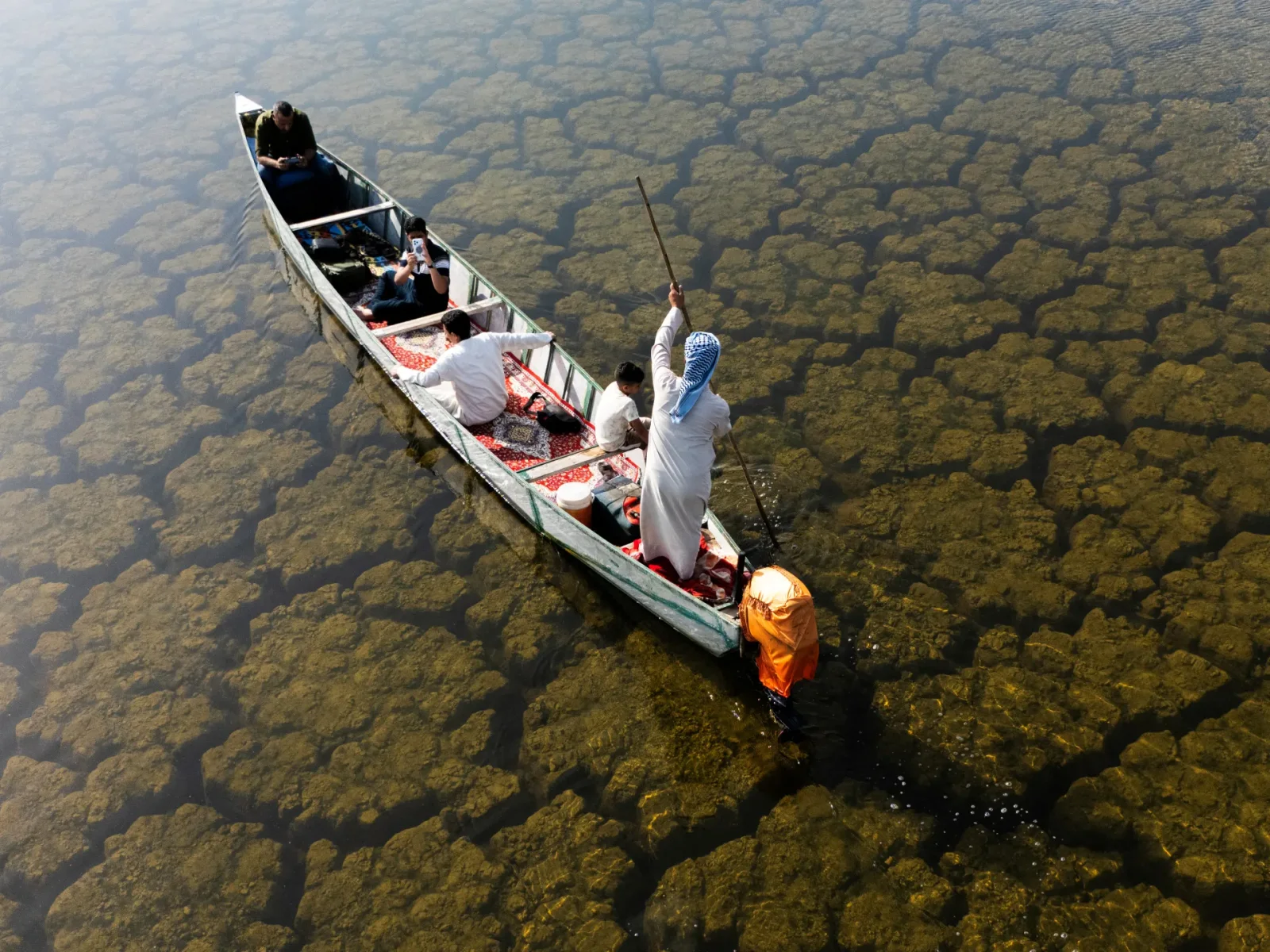 Rain Brings Life Back to Iraq’s Mesopotamian Marshes