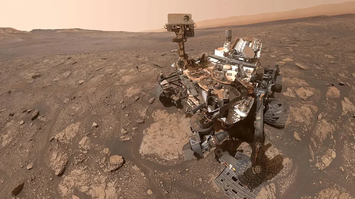 Spaceborne fungi survive sterilization, raising Mars contamination fears