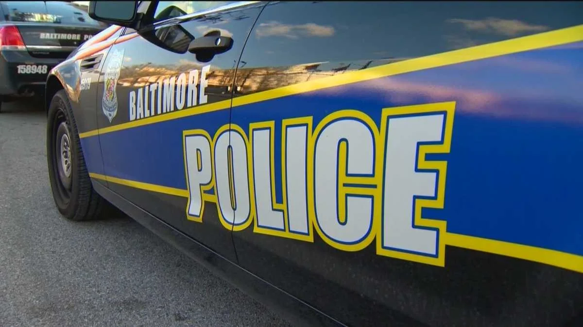 "Gruesome Discovery: Human Remains Unearthed in West Baltimore"