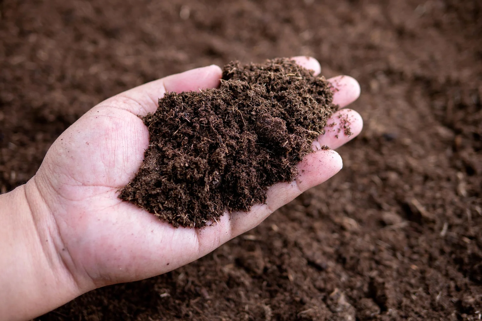 Long-Term Soil Warming Reveals Hidden Climate Feedback