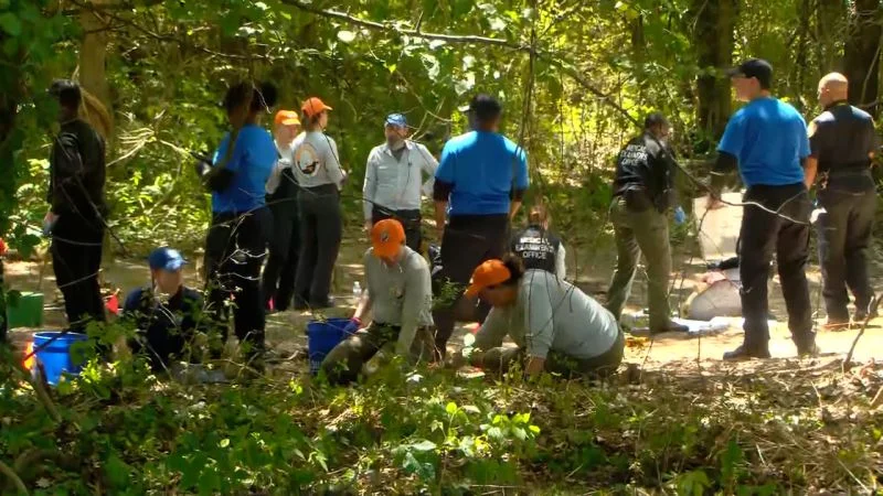 Three Unidentified Child Remains Found in Memphis Woods; Investigation Seeks Identities