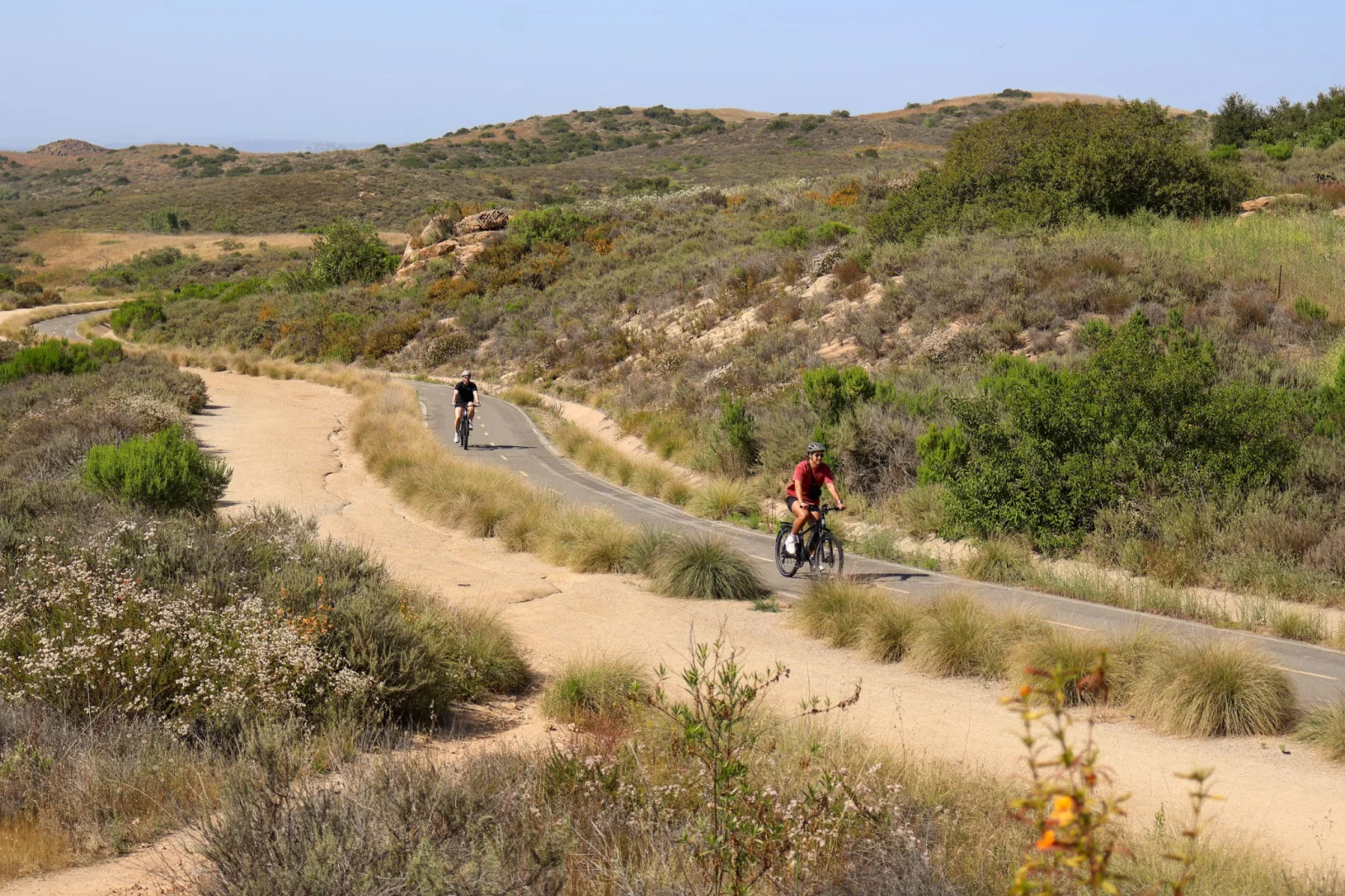 Irvine rattlesnake bite tragedy spurs renewed trail-safety warnings