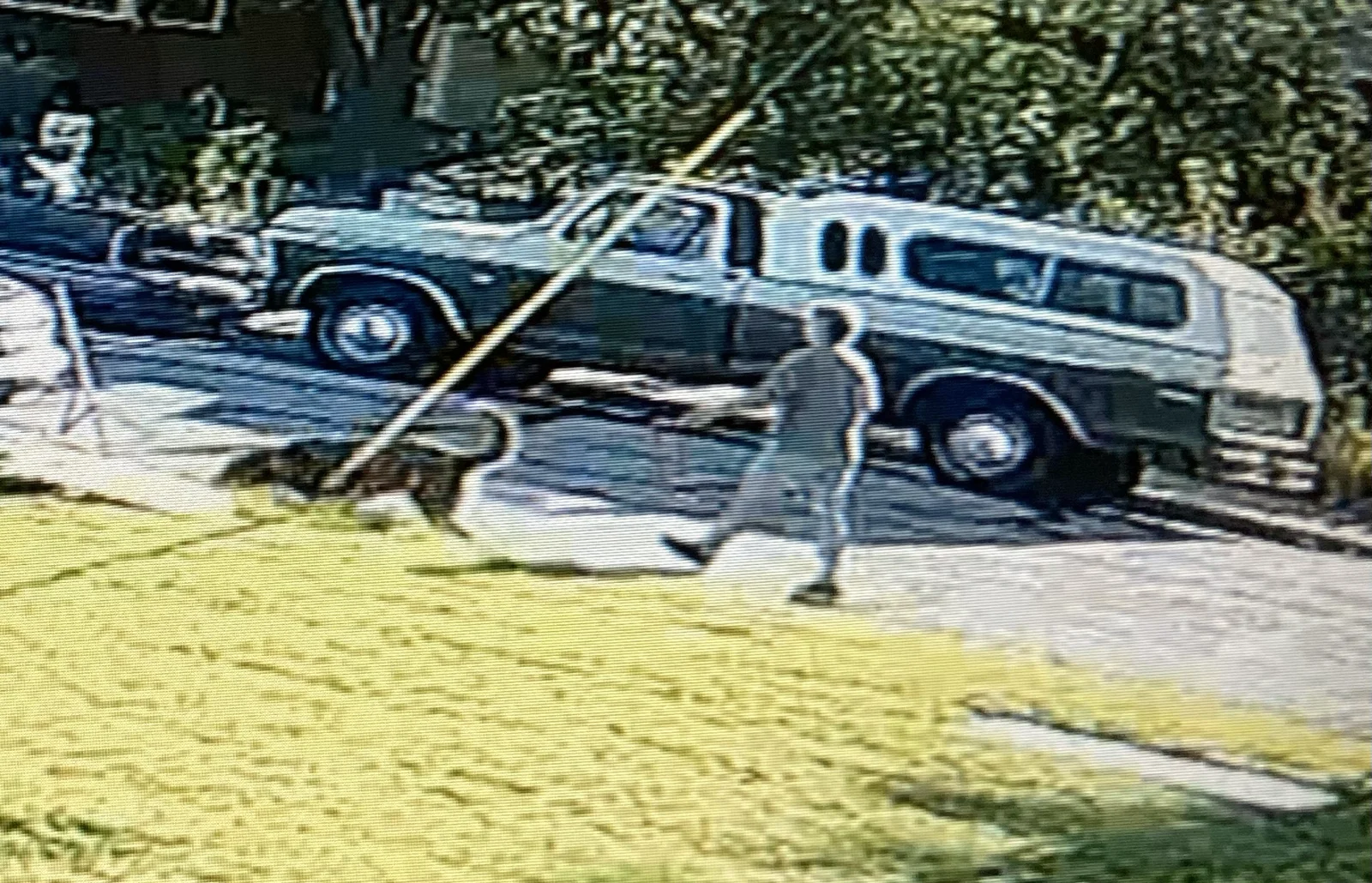 Salina dog bite scare ends with vaccination proof