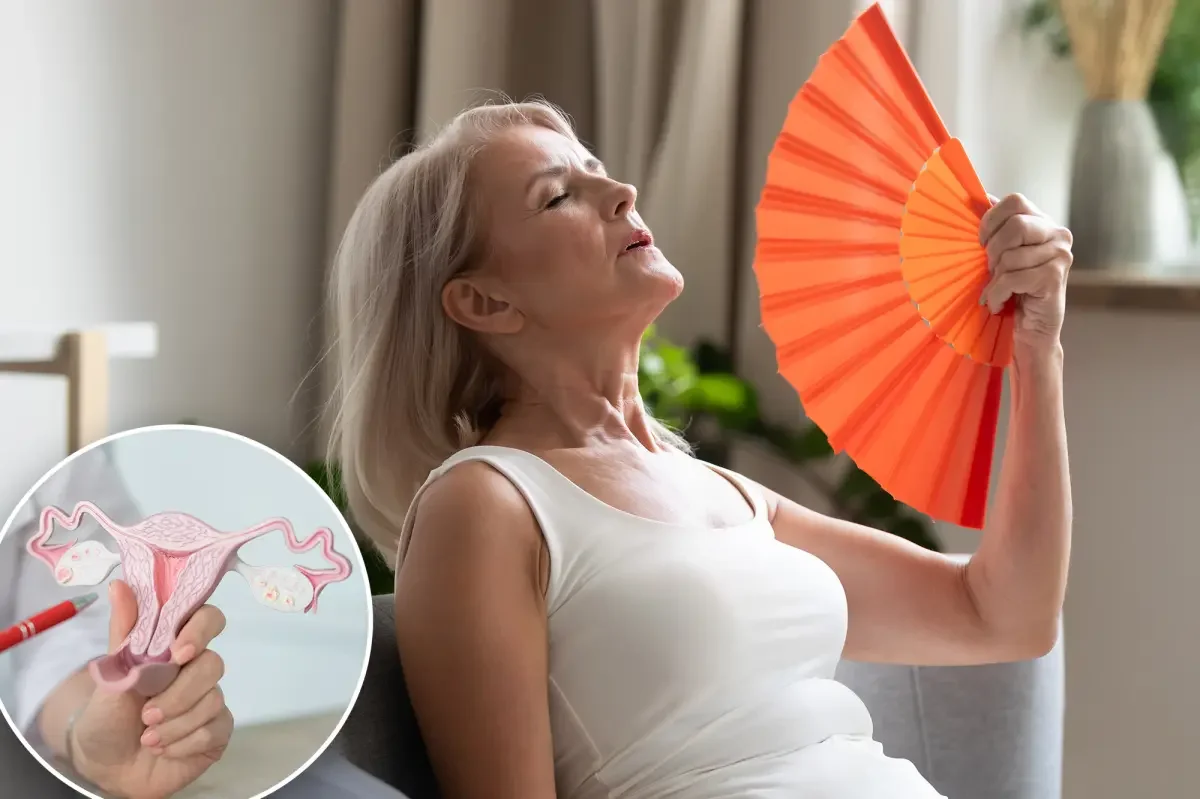 Menopause turns ovaries into immune-like hubs, study finds