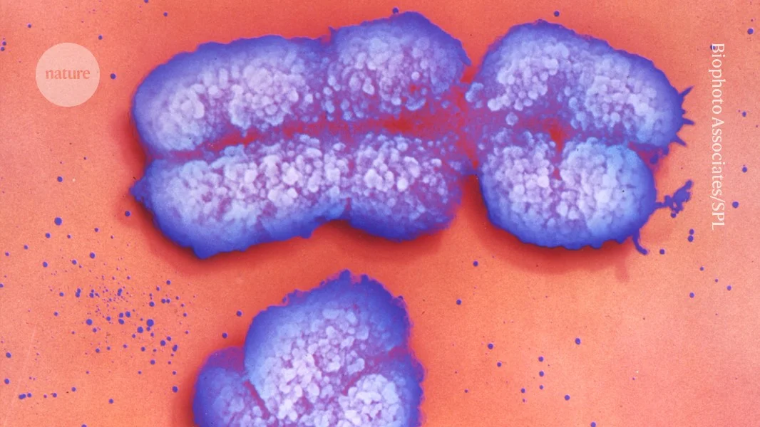 The X Factor in Health: How sex chromosomes shape disease and drug responses