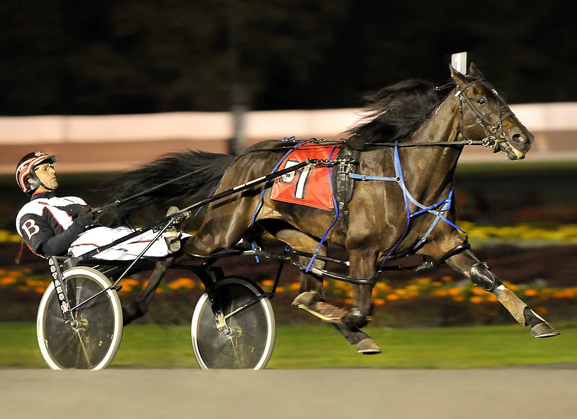 Backstretch Tragedy: 17 Horses Die in Saratoga Harness Fire
