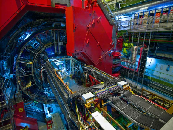 ALICE Detects Gluon Saturation Clues Inside Nuclei