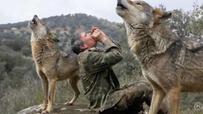 End of an Untamed Life: Sierra Morena's Wolf Boy Dies at 80