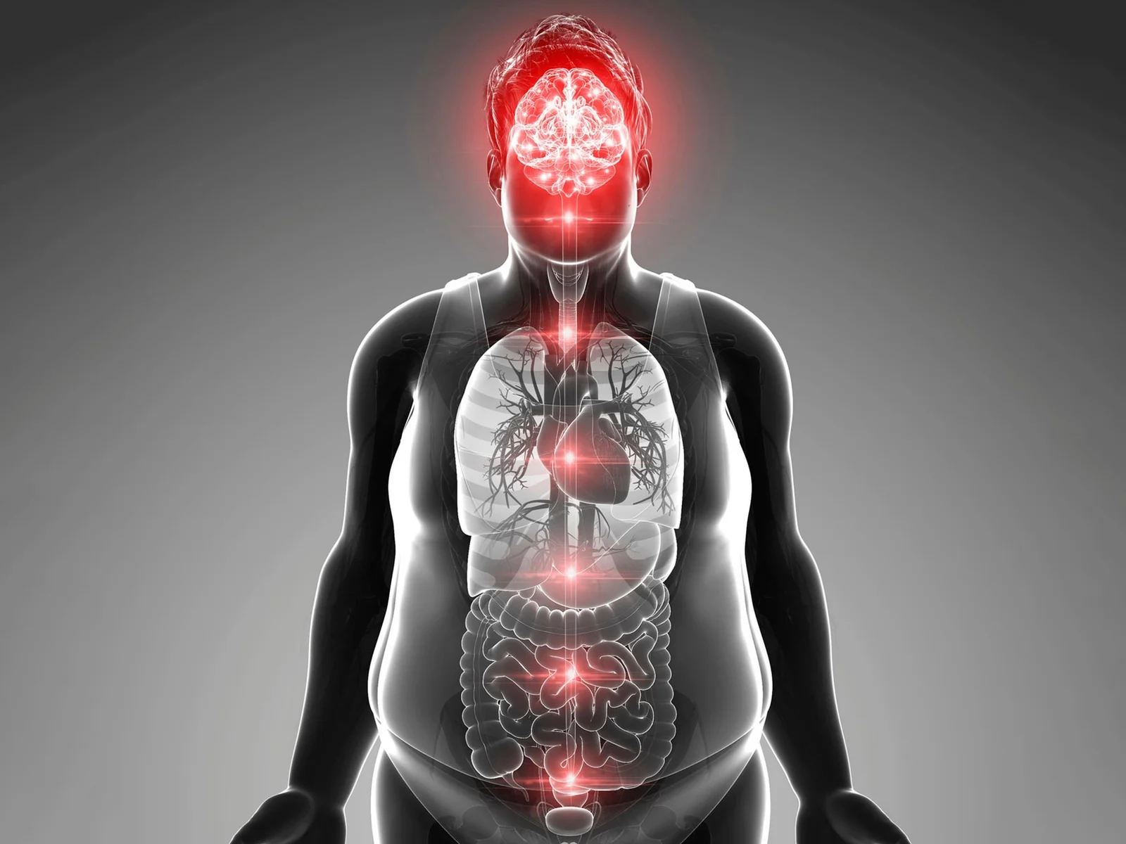 Natural Hormone FGF21 Rewires the Brain to Fight Obesity