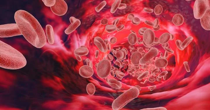 McGill team tests 'click clotting' to halt bleeding in seconds
