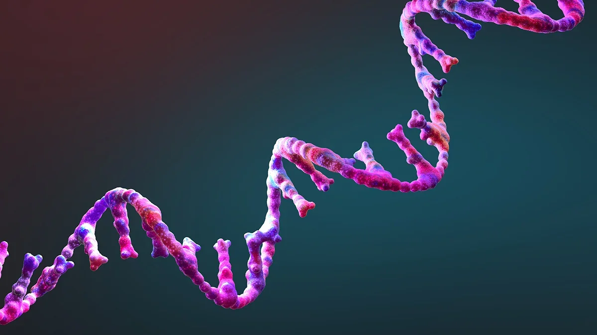 A Tiny RNA Enzyme Edges the RNA World Toward Self-Replication
