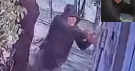 Jaguar Defender Survives Assassination Attempt Caught on Video in Mexico