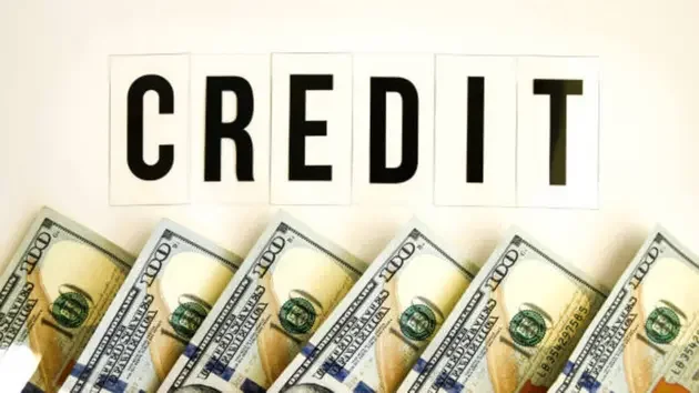 Q1 Bank Earnings Spotlight Modest Private Credit Exposures