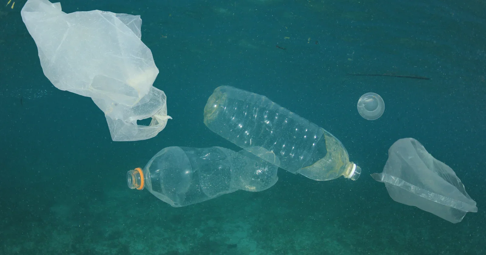 Six decades of ship logs reveal a hidden timeline of ocean plastic