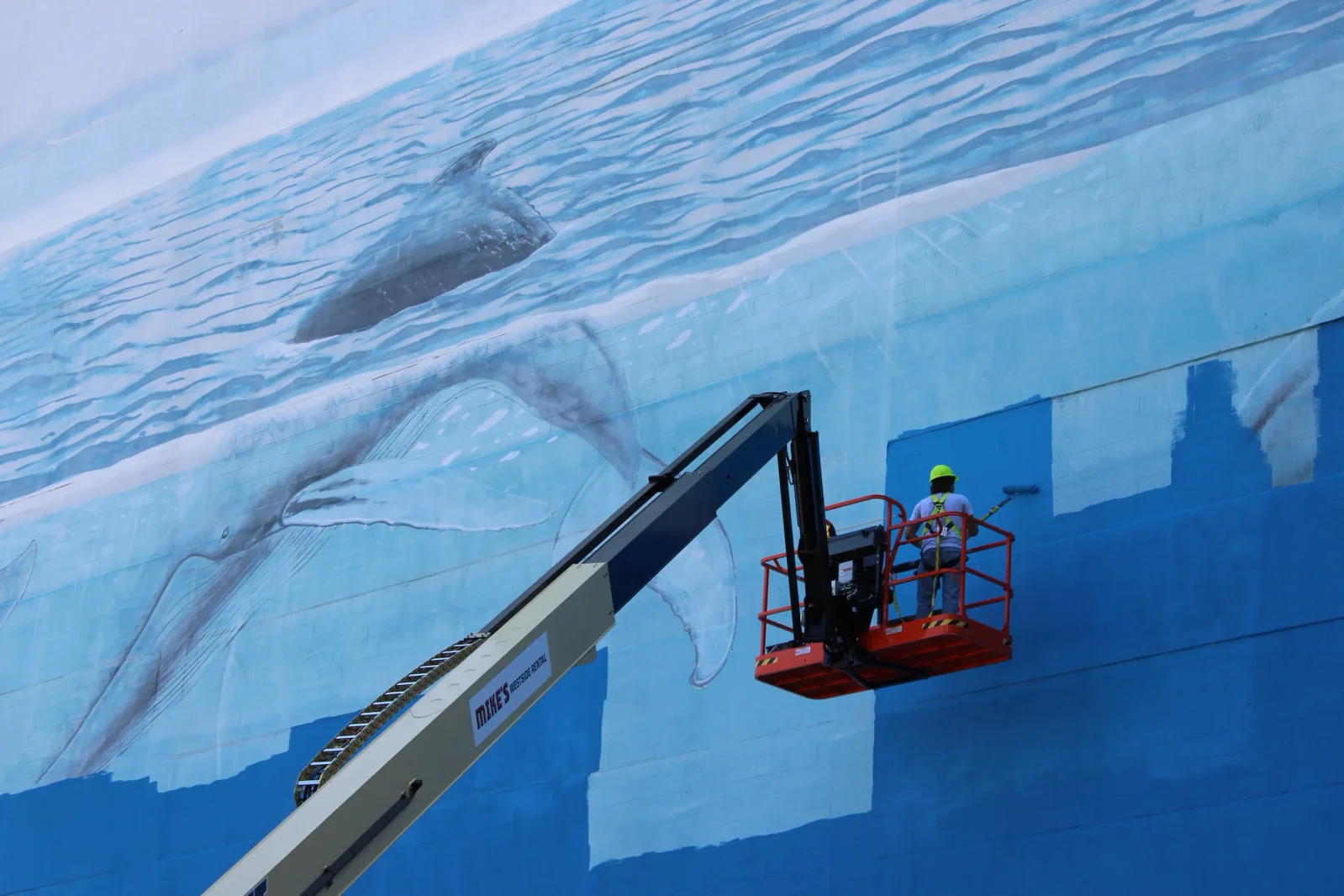 Dallas's Whaling Wall becomes World Cup mural, sparking artist backlash