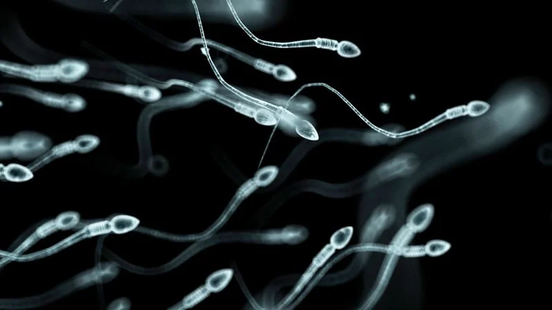 Chronic stress can quietly erode a man's fertility
