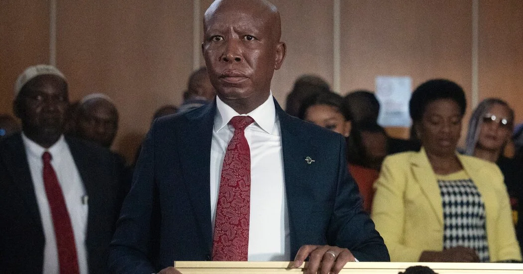 Malema Receives Five-Year Prison Term Over 2018 Rifle Incident
