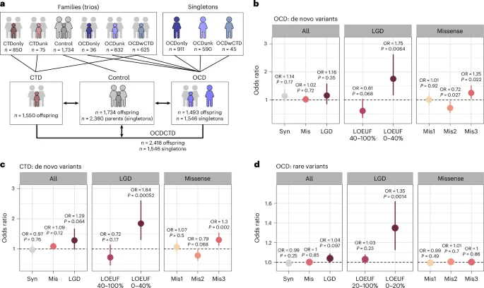 Exome study flags 36 high-impact genes for OCD and tic disorders