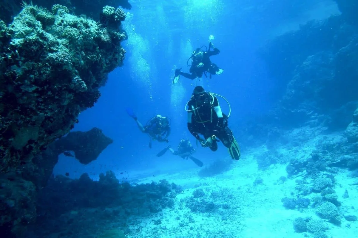 Argentine Deep-Sea Discovery: Vatican-Sized Coral Reef Upends Our View of Life Beneath