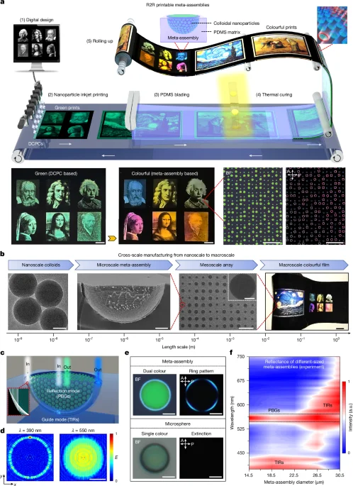 Roll-to-roll printable metamaterials unlock multiscale, tunable colouration