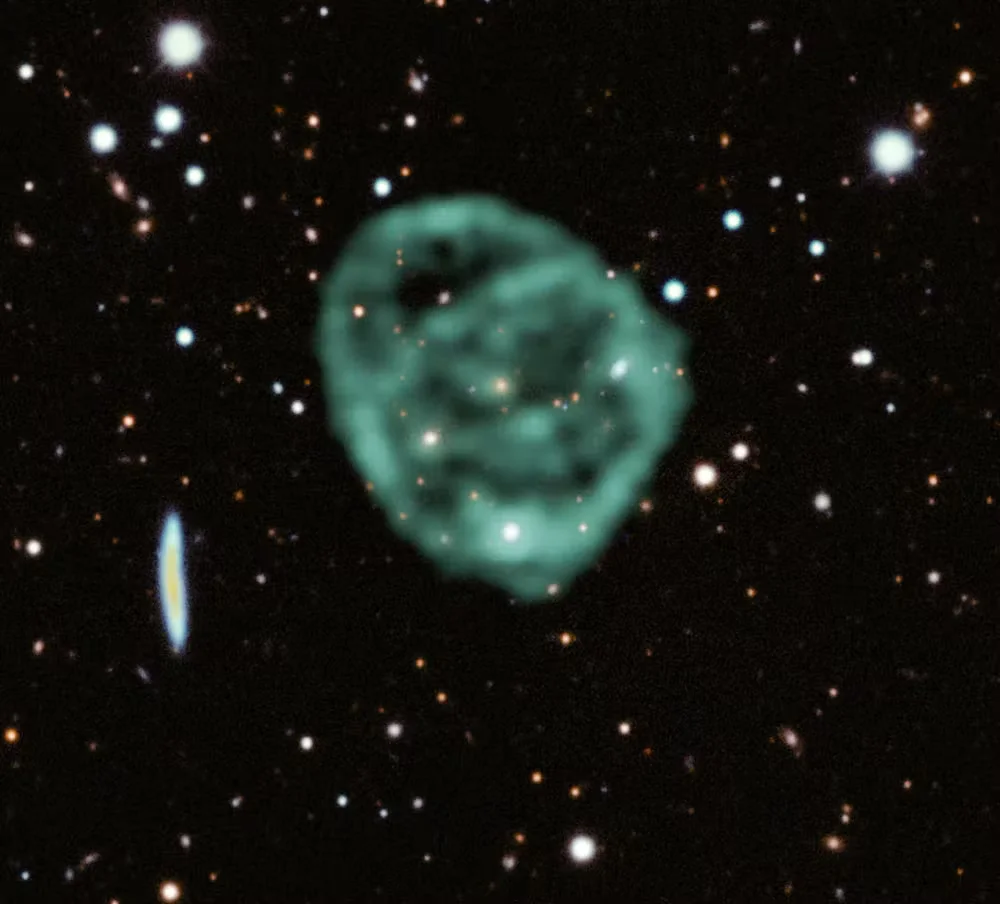 Giant Unexplained Radio Rings Hint at a New Class of Cosmic Structures