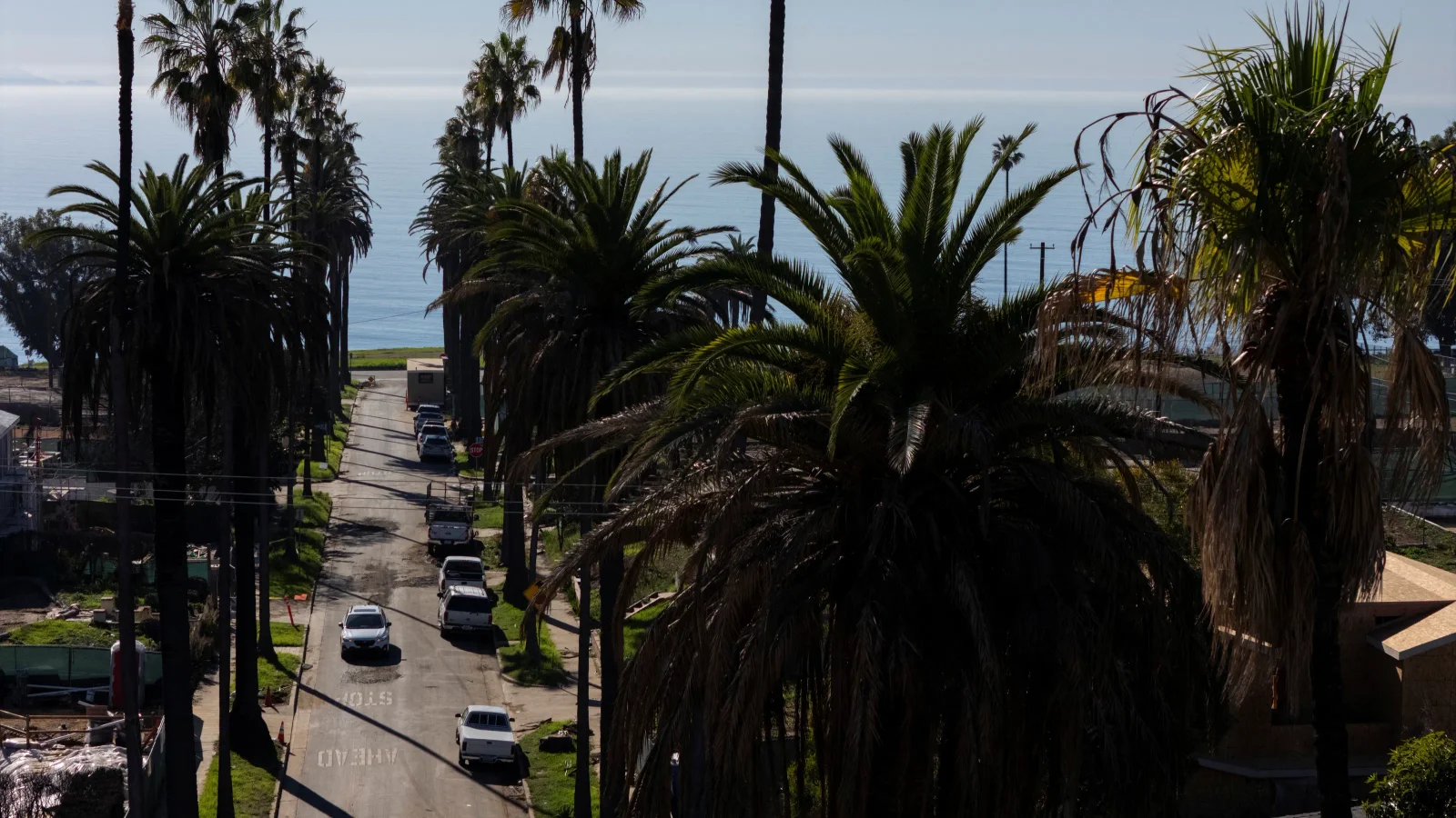 Rebirth in Pacific Palisades: Visitors Help Revive a Fire-Ravaged Town