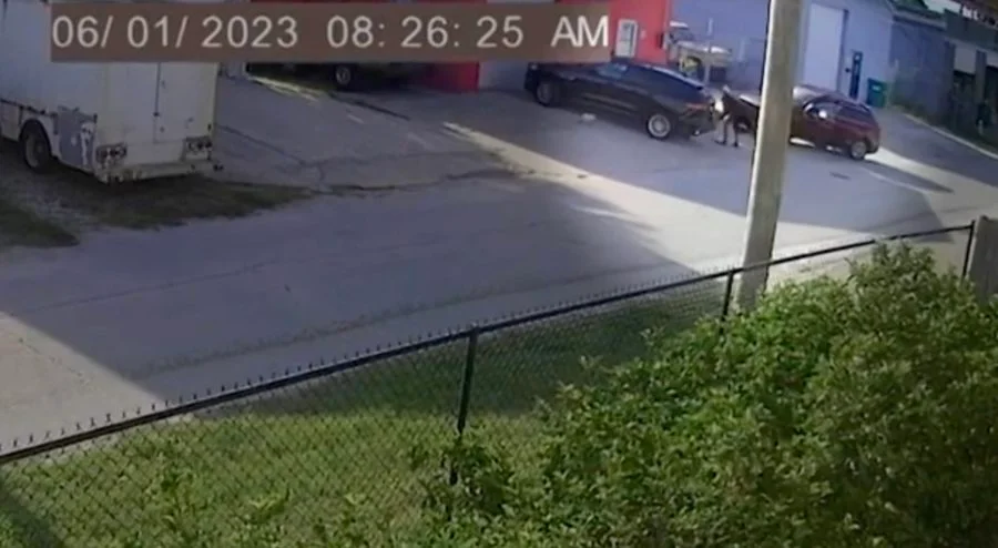 Toddler Abandoned by Carjacker in Florida
