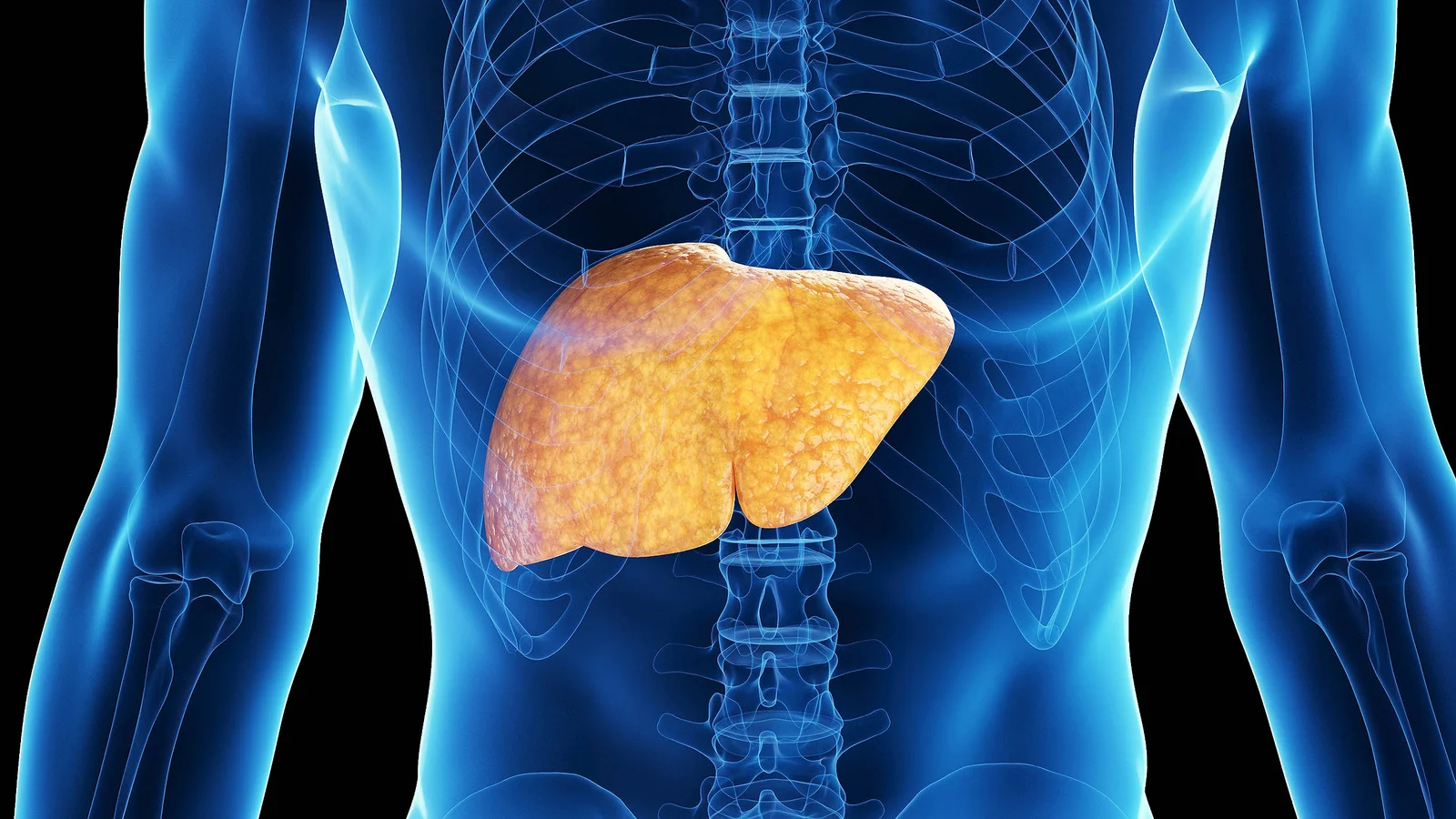 Apples Identified as the Top Fruit for Liver Health