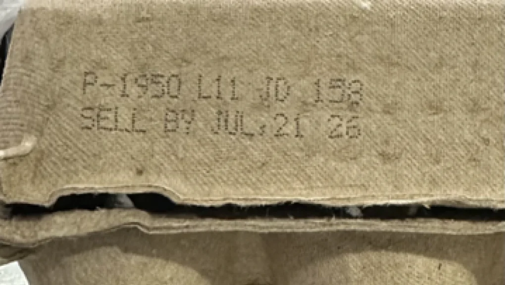 Salmonella Triggered Egg Recall Linked to Texas Farms