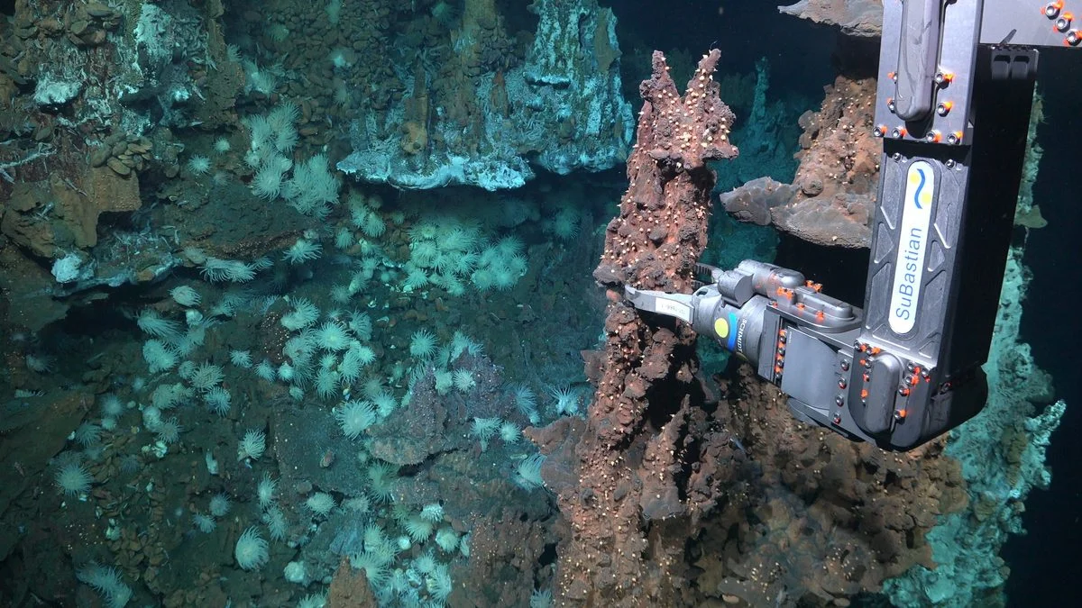 Atlantic Doldrums Reveal First Hydrothermal Vents, Stoking Awe for Deep-Sea Life