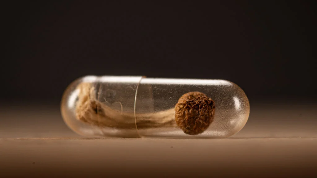 Vertex to Acquire Crinetics in $10 Billion Bet on Rare Endocrine Therapies