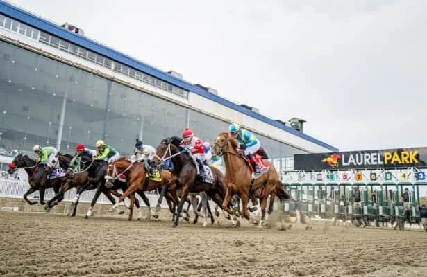 Laurel Park hosts growing Preakness 2026 field ahead of Monday draw