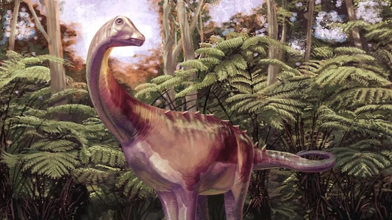 Antarctica’s first dinosaur fossil unearthed from decades-old drawer find