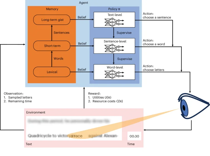 Hierarchical Resource Rationality Guides Reading Under Time Pressure