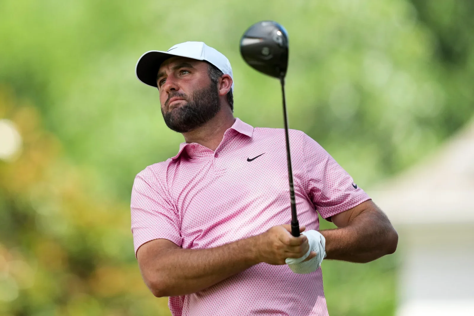 Scheffler's hot streak continues as he tops St. Jude with a 61