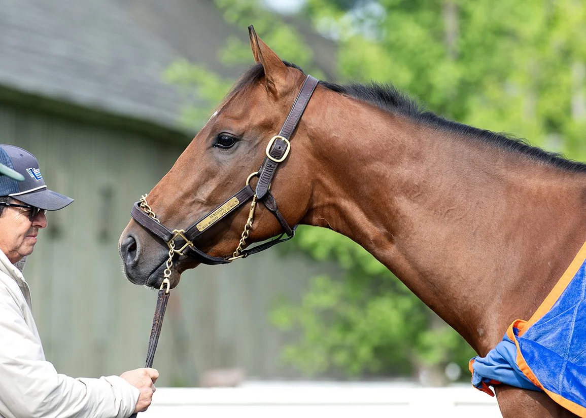 Renegade Seeks Belmont Rematch as 2-1 Favorite in 158th Stakes