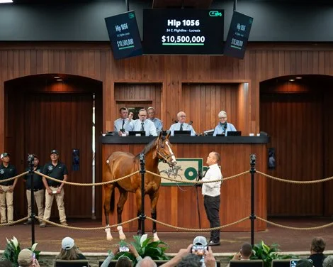 Flightline Colt Breaks OBS 2-Year-Old Record at $10.5 Million