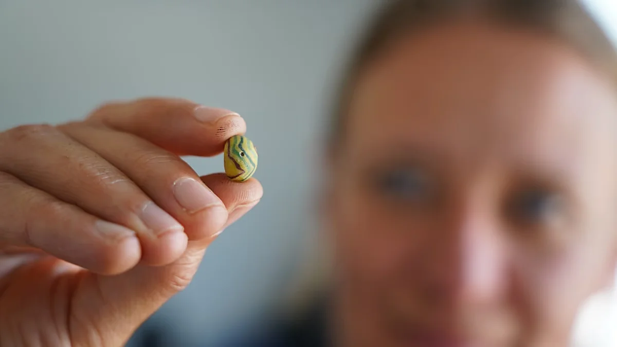 Viking textile hub uncovered in Denmark reveals a sophisticated economy
