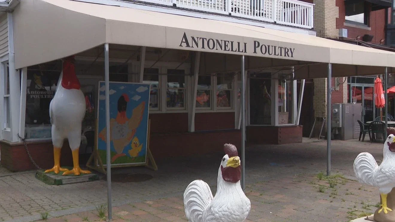 Providence poultry operation euthanizes more than 445 birds after bird flu detected
