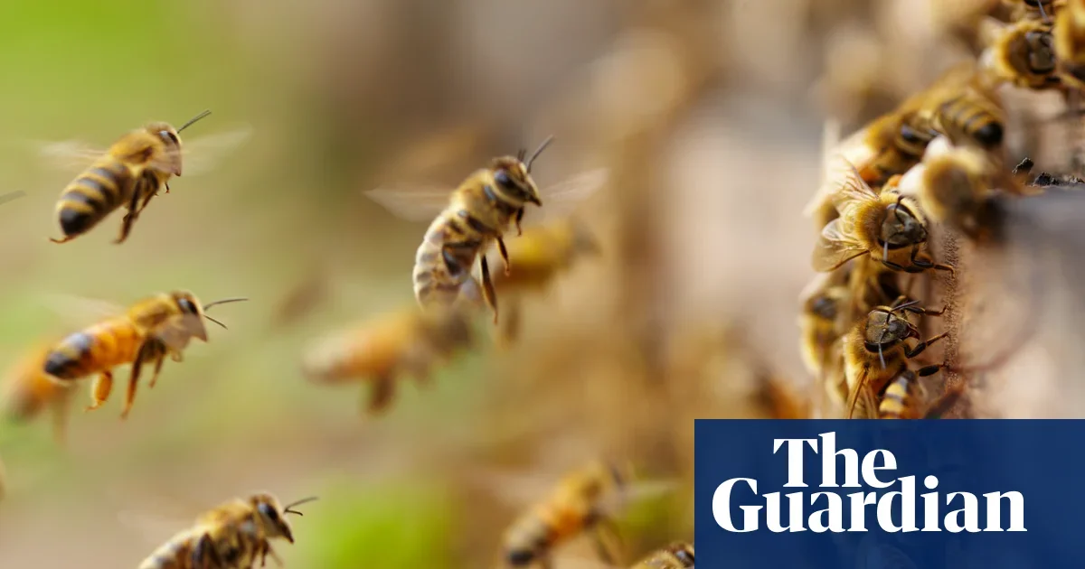 Warm Winters Push North American Bee Swarms Forward, Upending Beekeeping