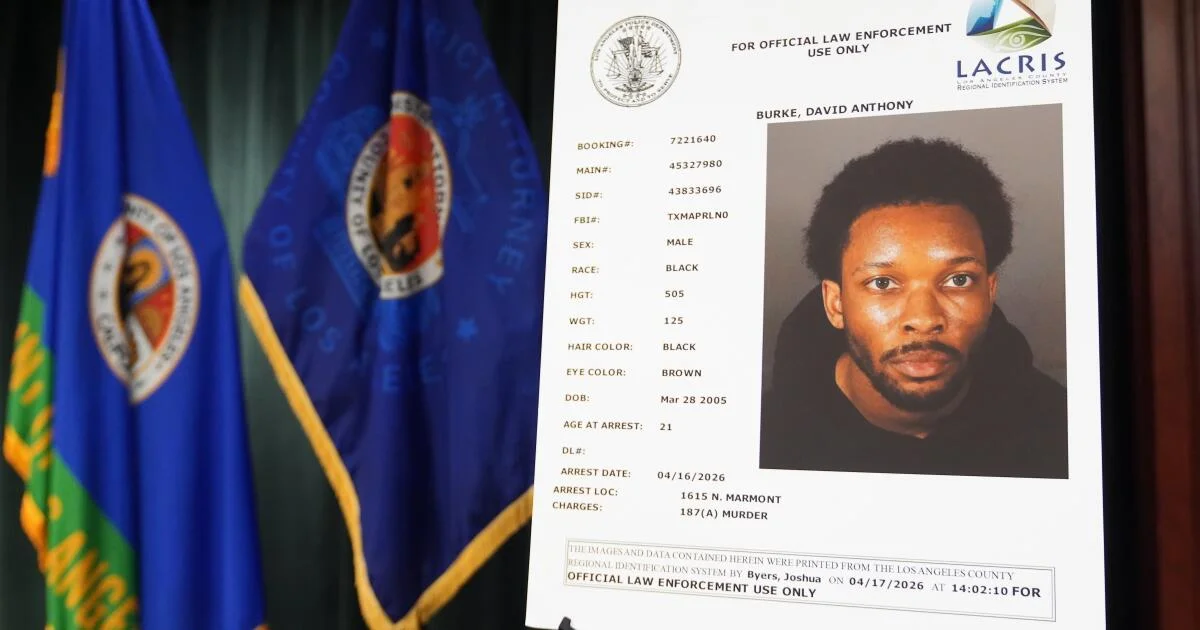 Garage blood evidence puts D4vd’s case in the spotlight as preliminary hearing proceeds
