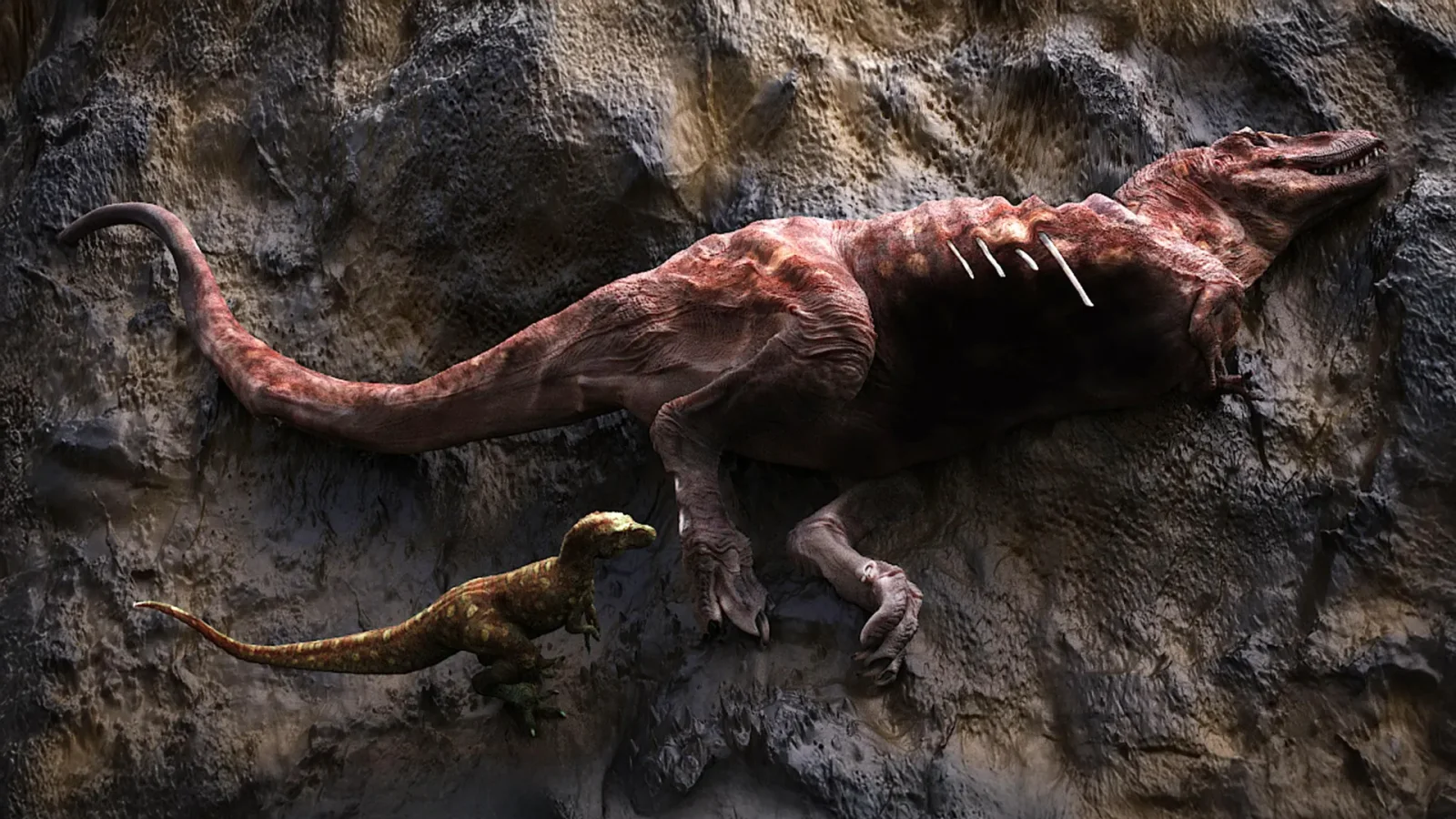 75-Million-Year Tyrannosaur Bite Marks Reveal Cannibal Scavenging